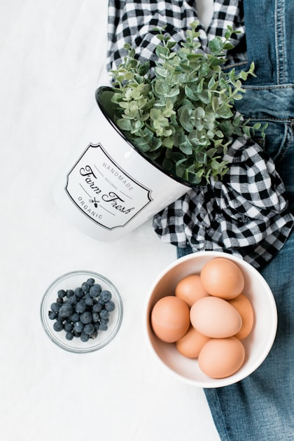 Getting Started with Homesteading